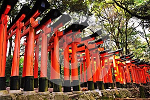Torii gates of Fushimi Inari Taisha Shrine photo