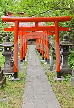 Torii gates of Hachiman Shinto Shrine, Akita, Japan photo