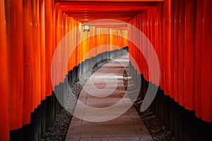 Torii gates in Inari Shrine, Kyoto, Japan