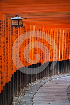 Torii gates in Kyoto