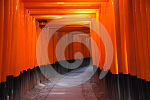 Torii Gates - Kyoto Japan