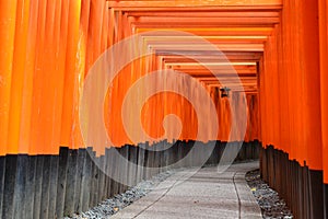 Torii gates in Kyoto, Japan