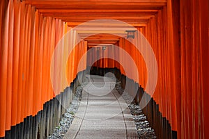 Torii gates in Kyoto, Japan