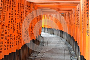 Torii gates in Kyoto, Japan
