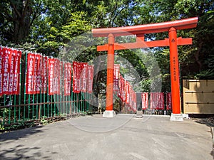 Torii at Hie Jinja Shrine, Tokyo, Japan