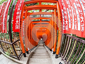 Torii at Hie Jinja Shrine, Tokyo, Japan