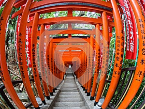 Torii at Hie Jinja Shrine, Tokyo, Japan