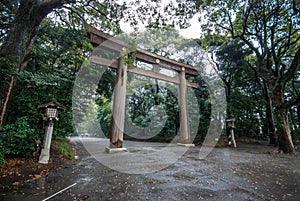 Torii at Meiji Shrine