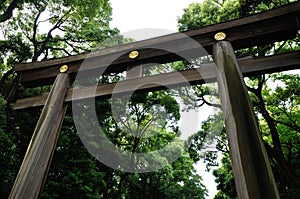 Torii Meiji Shrine, Japan