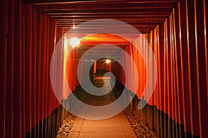 Torii path at Fushimi Inari-Taisha Shrine photo