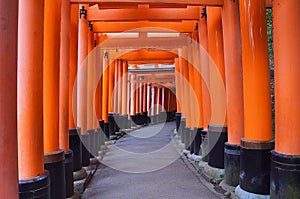 Torii path at Fushimi Inari-Taisha Shrine photo