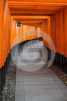 Torii path lined with thousands of torii in the Fushimi Inari Taisha Shrine