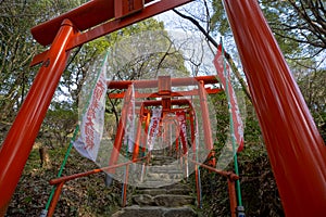 The torii at the Shinto Shrine Gateways photo
