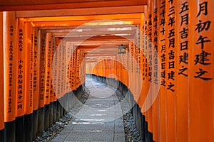 Torii tunnel path in Fushimi Inari-taisha shrine in Kyoto, Japan