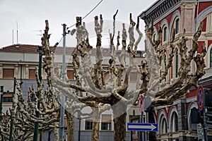 Torino/Italy, 17.03.2019: facade of Architecture building in historical center of Turin, Italy