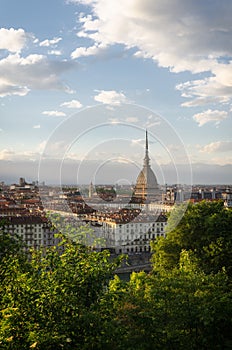 Torino panorama with Mole Antonelliana