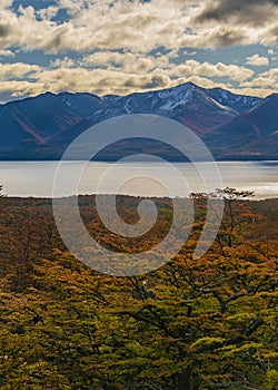 Torito bay, tierra del fuego, argentina photo