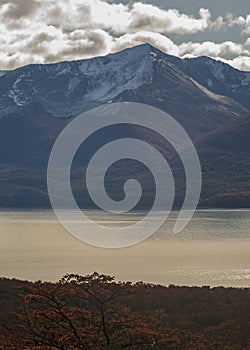 Torito bay, tierra del fuego, argentina photo