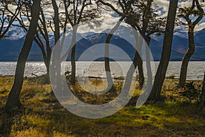 Torito bay, tierra del fuego, argentina photo