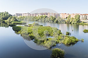 Tormes river and the city of Salamanca behind (Spain