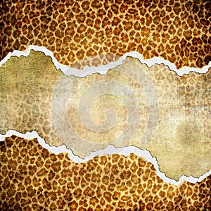 Torn backgroun