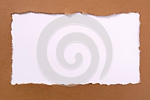 Torn brown paper oblong white background border frame untidy edge
