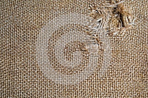 Torn burlap for the background photo