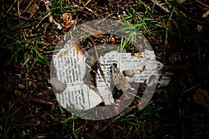 Torn and burnt dictionary pages lying on dark black forest dirt