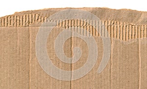 Torn cardboard. Paperboard paper ripped border, frame, edge. Corrugated torn cardboard empty background, realistic texture. Ragged