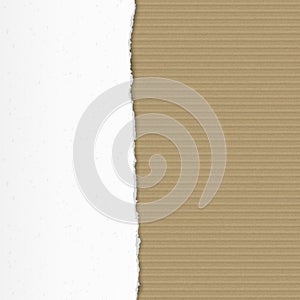 Torn cardboard pieces