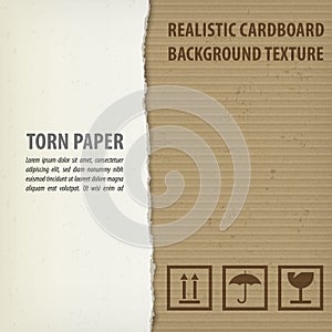 Torn cardboard pieces