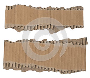 Torn Cardboard Strips