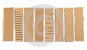 Torn Cardboard Strips on White Background