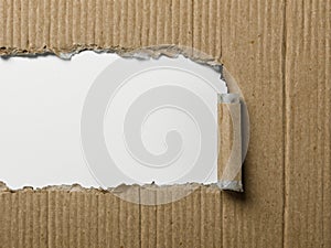 torn cardboard texture with white ripped edges