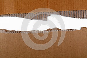 Torn corrugated cardboard