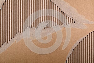 Torn corrugated cardboard