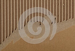 Torn corrugated cardboard