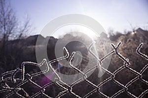 Torn fence of metal mesh covered with frost. The sun shines early in the morning on the frozen grid.