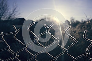 Torn fence of metal mesh covered with frost. The sun shines early in the morning on the frozen grid.