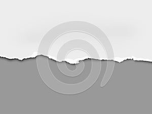 Torn a half sheet of white paper from the bottom placed on gray background. Vector template paper design