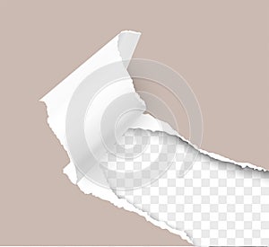 Paper corner torn hole corner of paper sheet with paper curl isolated on transparent background realistic vector