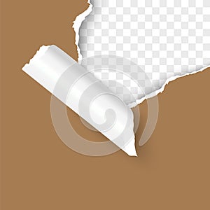 Paper corner torn hole corner of paper sheet with paper curl isolated on transparent background realistic vector