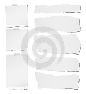 Torn horizontal, note, notebook, copybook paper strips, sheets for text or message stuck with sticky tape on white