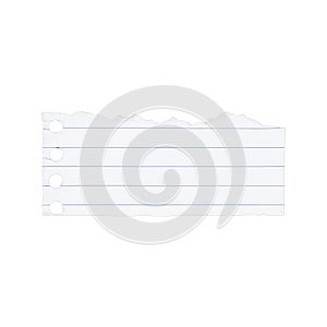 Torn Lined Notebook Paper with Punch Holes on White Background