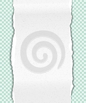 Torn note, notebook, grainy vertical paper strip stuck on light green squared background. Vector illustration