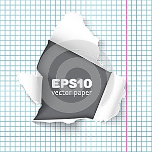 Torn notebook paper pieces realistic vector