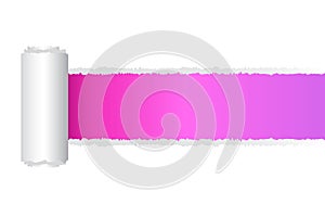 torn open paper pink and purple gradient with space for text, vector