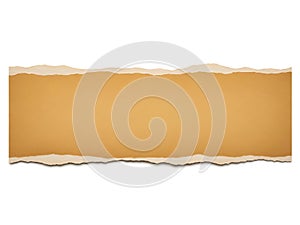 Torn paper background