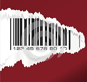 Torn paper with barcode. Vector illustration.