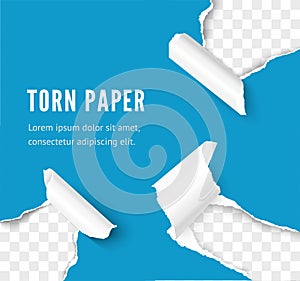 Torn paper corner effect over transparent background